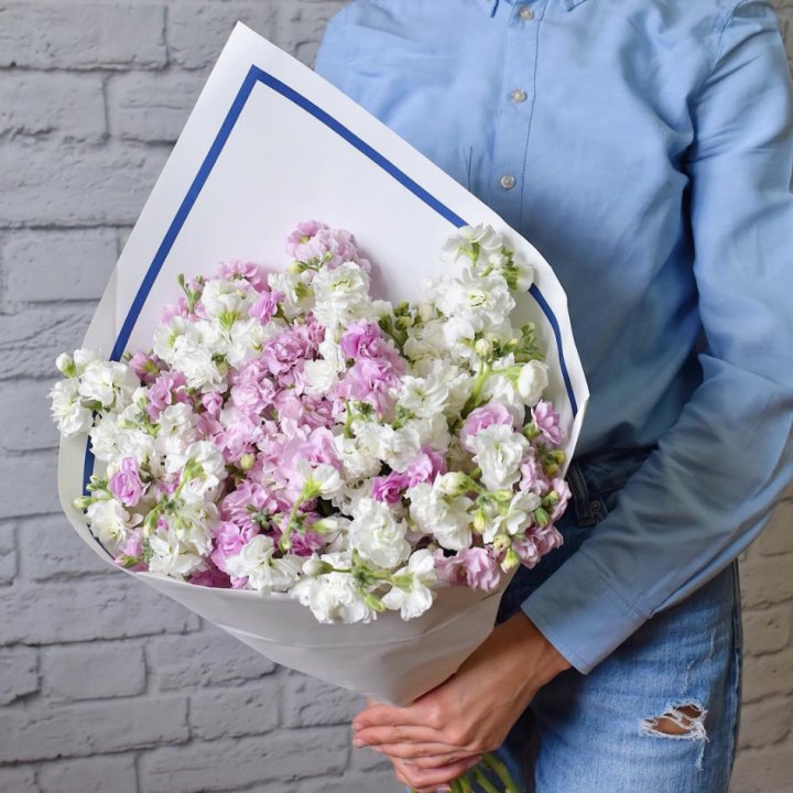 Маттиола в Благовещенске