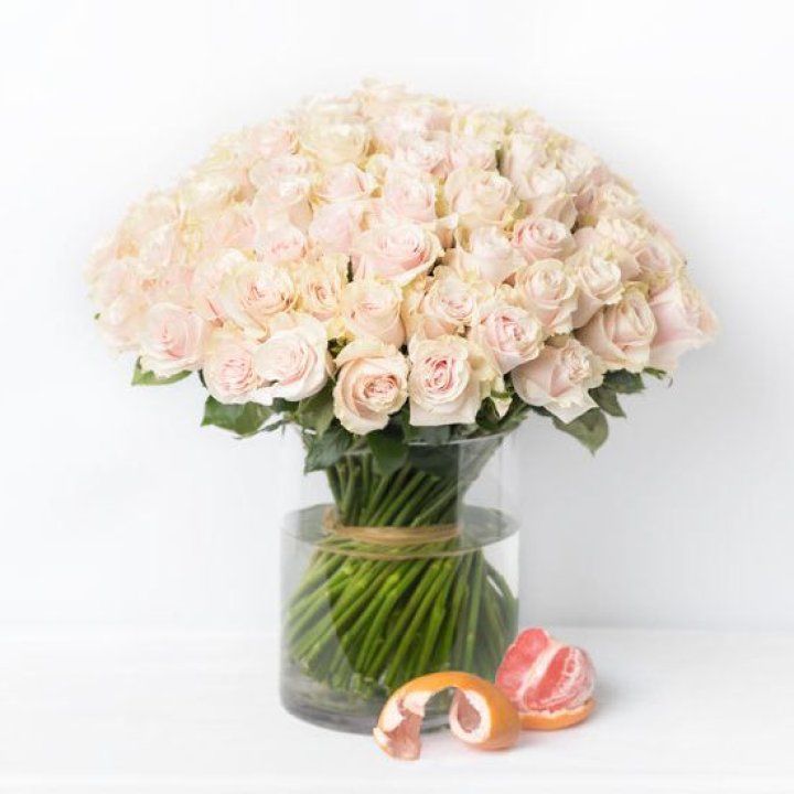 101 кремовая роза в Благовещенске