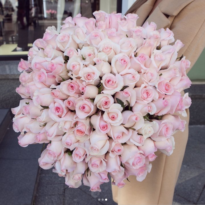 Розы "Пинк бум" в Благовещенске