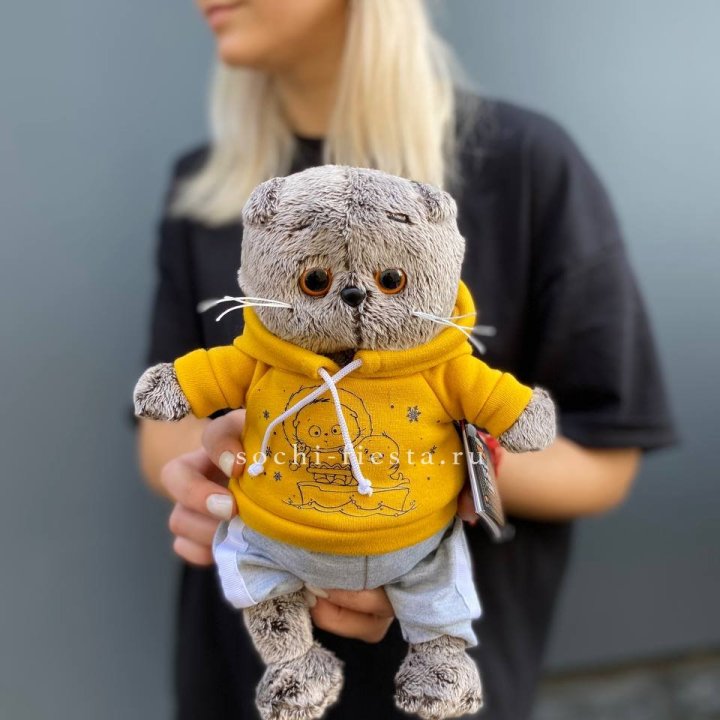 Кот Басик в худи в Благовещенске