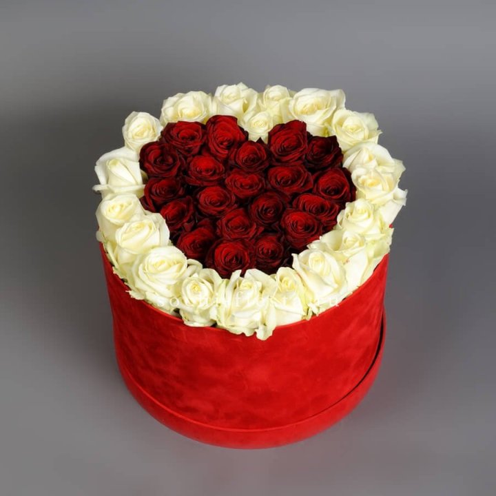 39 красных и белых роз в цилиндре в Благовещенске