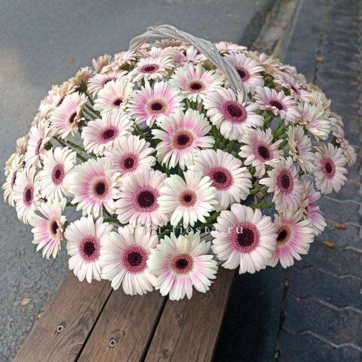 Корзина с герберами  в Благовещенске