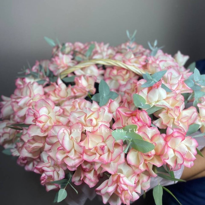 51 джумилия  в корзине   в Благовещенске