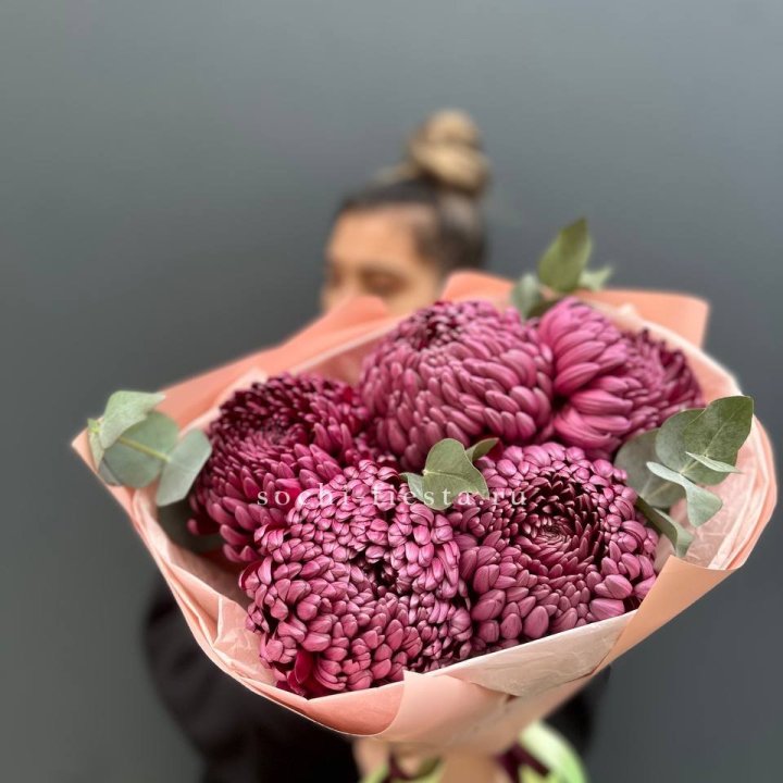 Хризантемы  Бигуди  в Благовещенске