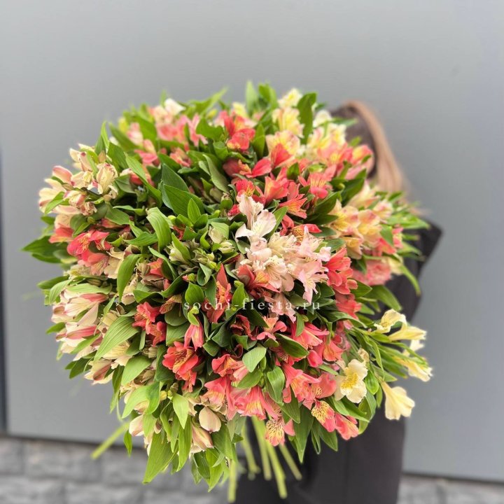 51 альстромерия в Благовещенске