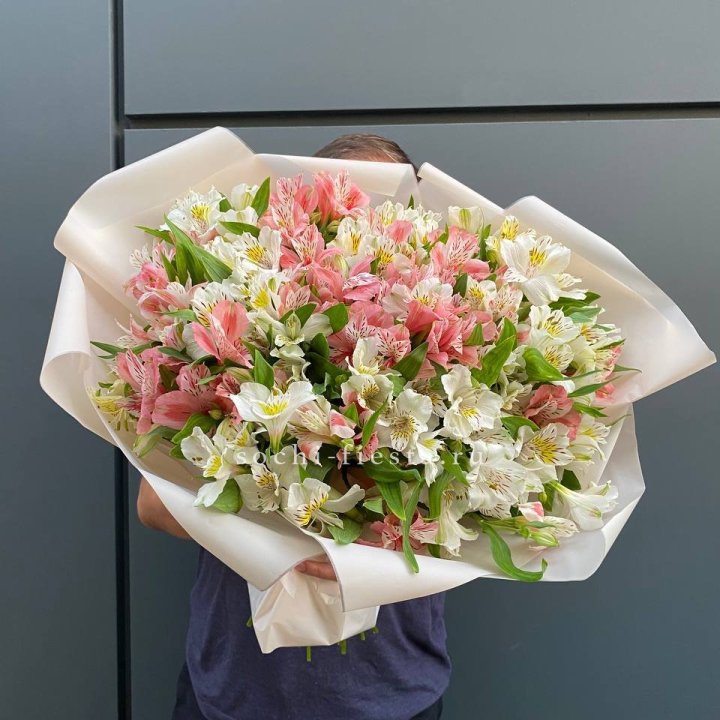 39 альстромерий в Благовещенске