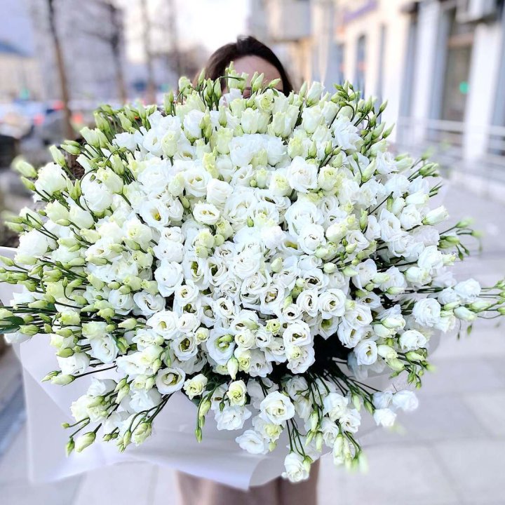 101 белая эустома в Благовещенске