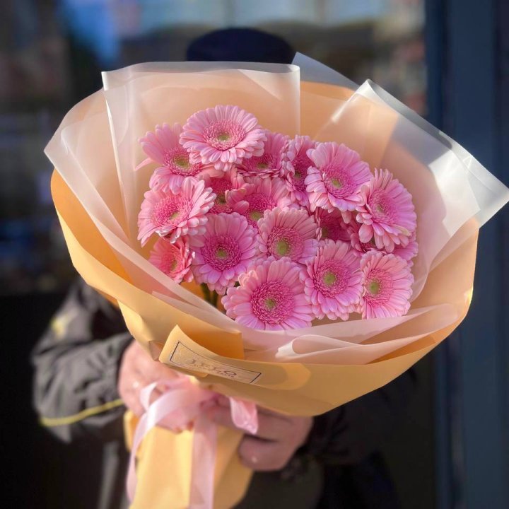 17 розовых гербер  в Благовещенске