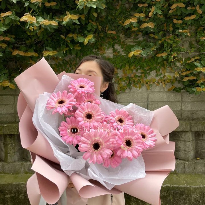 13 розовых гербер в Благовещенске