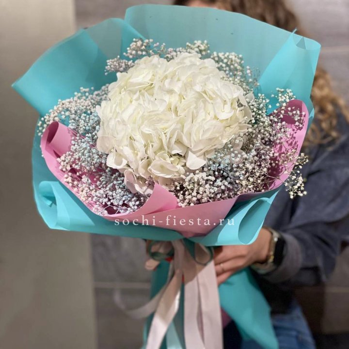 Гортензия "Райдов" в Благовещенске