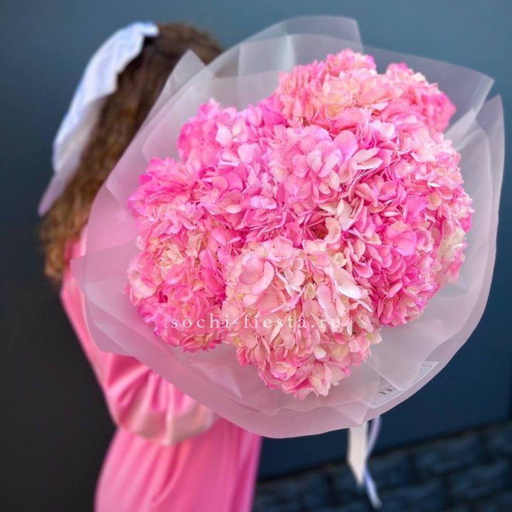 7 ярко розовых гортензий в Благовещенске