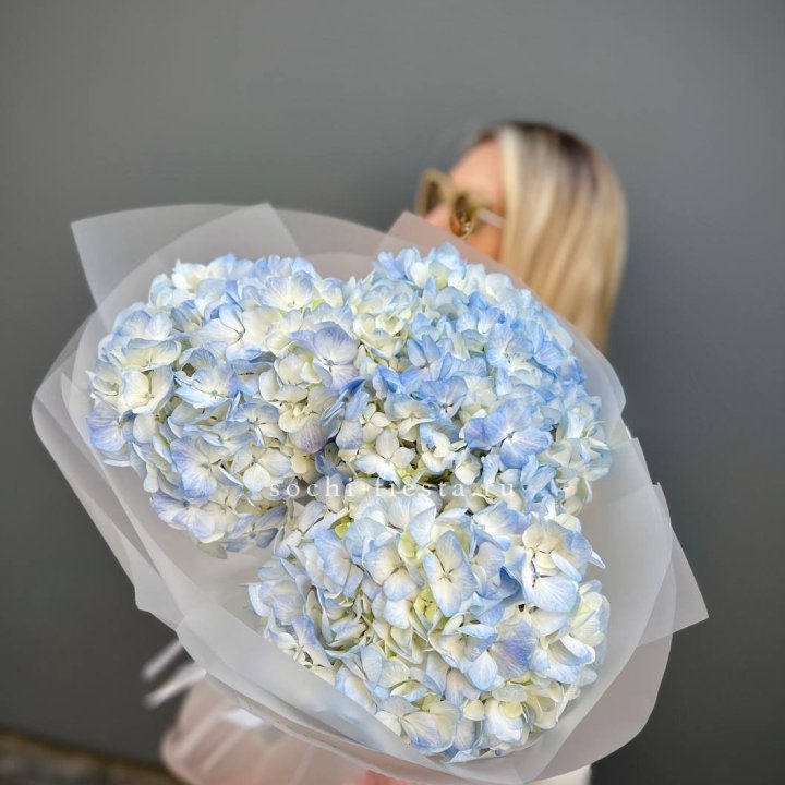 Букет из 3 голубых гортензий  в Благовещенске