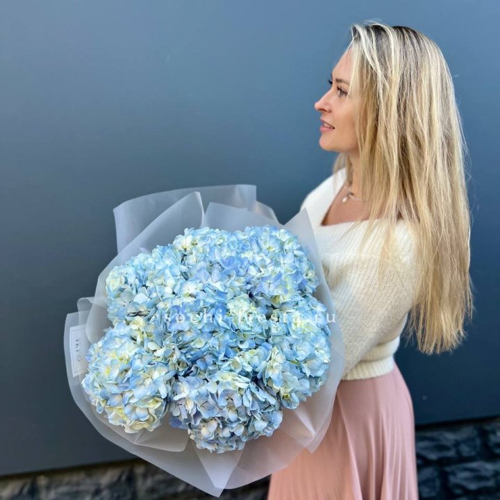 7 голубых гортензий в Благовещенске