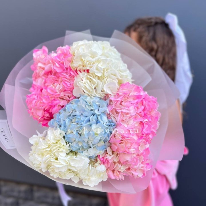 7 гортензий микс в Благовещенске