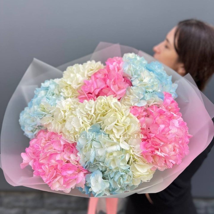 9 гортензий микс в Благовещенске