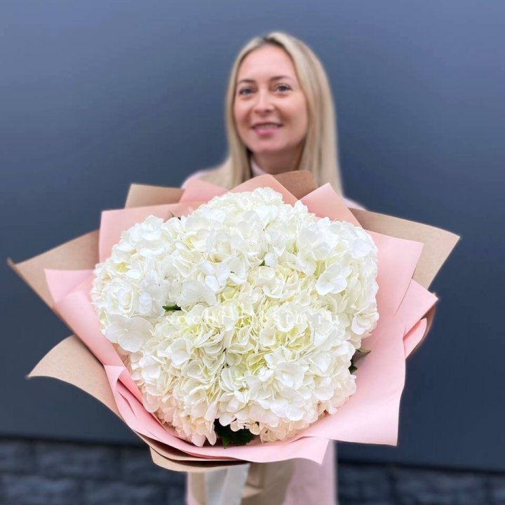 Гортензия белая в Благовещенске