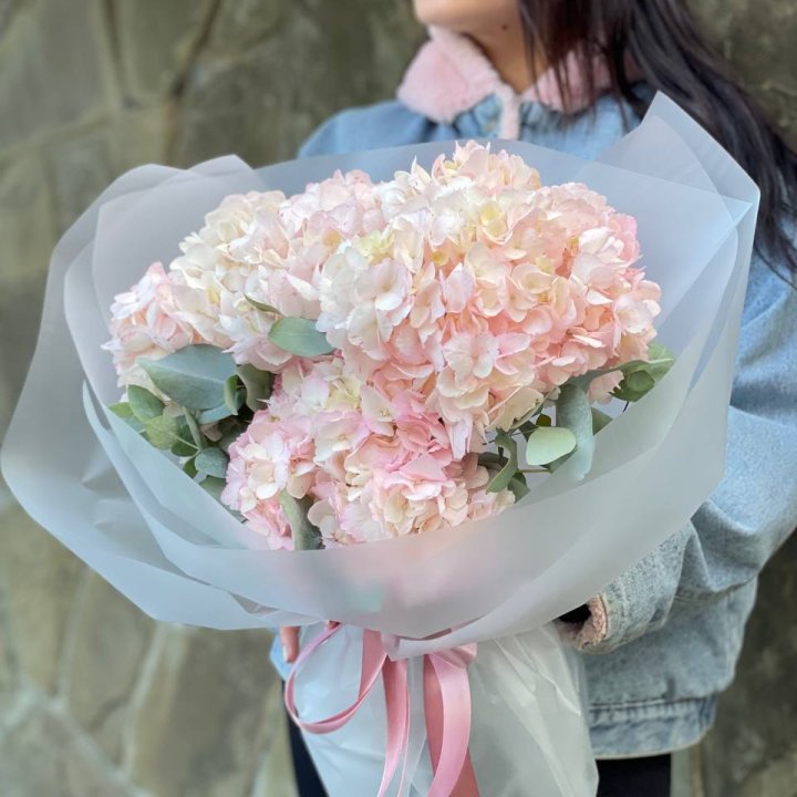 5 розовых гортензий в Благовещенске