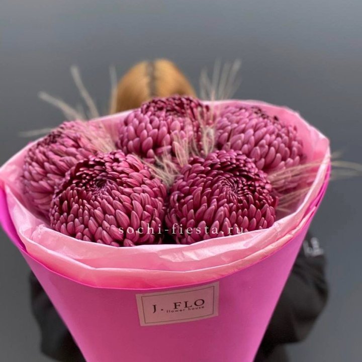 Хризантемы  Бигуди с стифой в Благовещенске