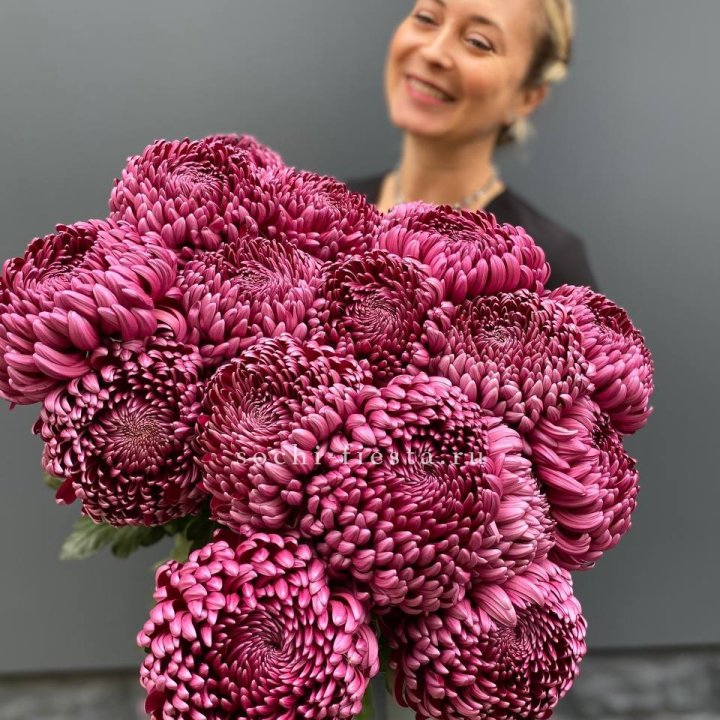 Охапка хризантем Бигуди в Благовещенске