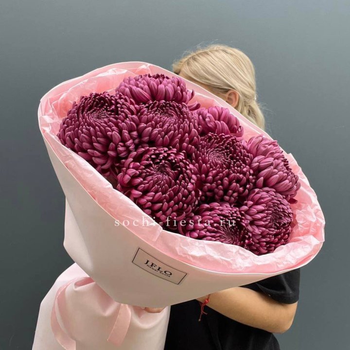 9 хризантем бигуди в Благовещенске