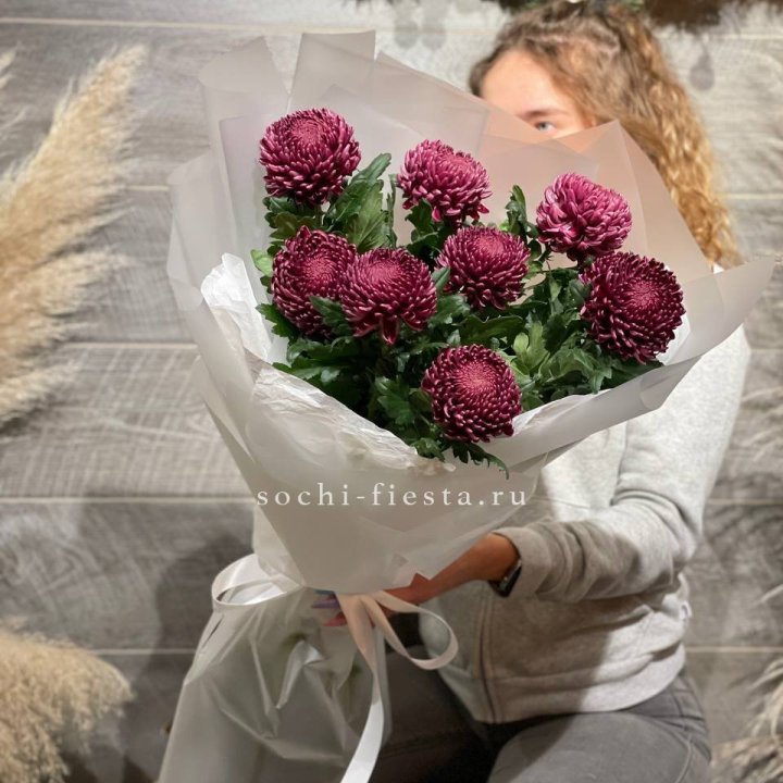 Хризантемы Бигуди в Благовещенске