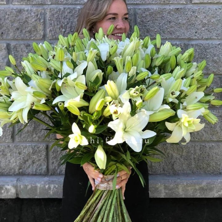 51 лилия в Благовещенске