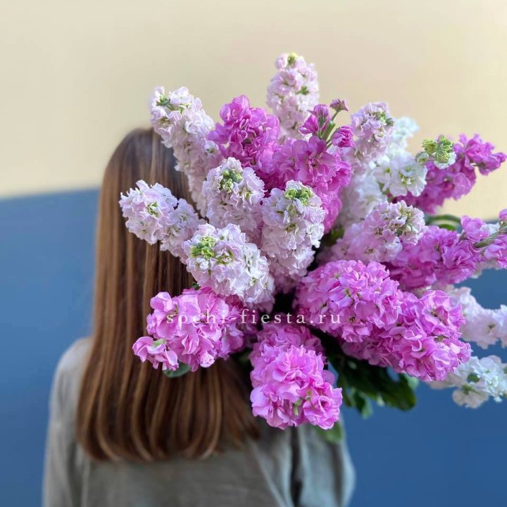 Охапка маттиолы в Благовещенске