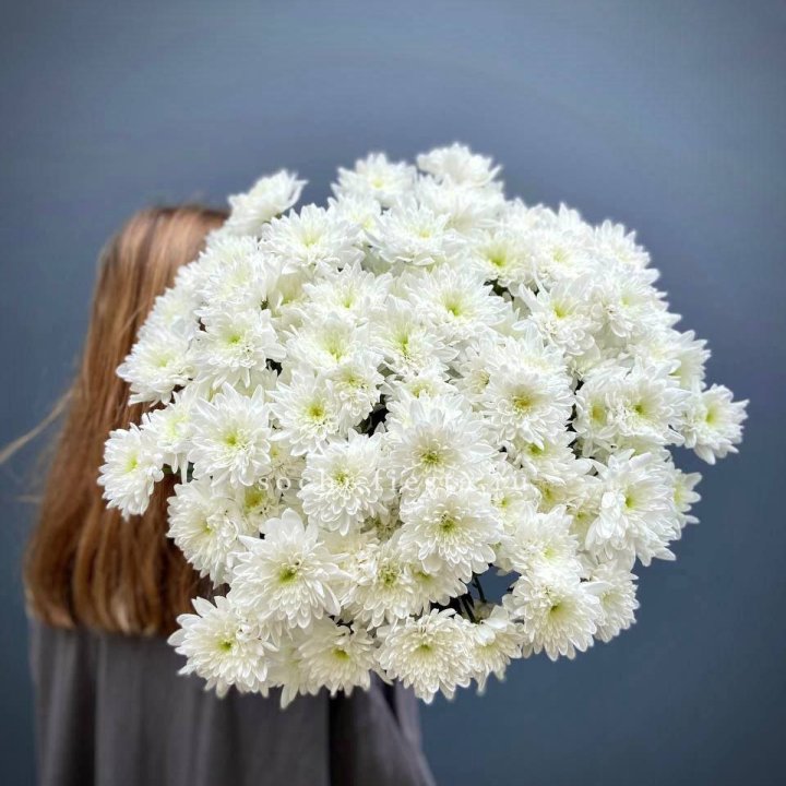 Охапка Хризантемы кустовой в Благовещенске