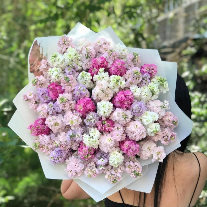 Букет ароматной маттиоллы №3 в Благовещенске