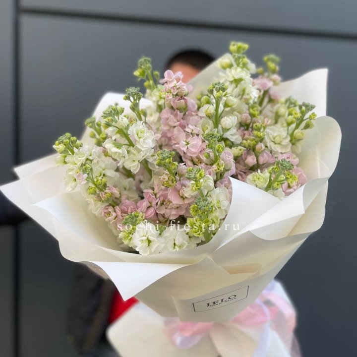 29 маттиол  в Благовещенске