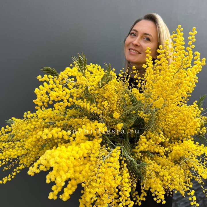 Охапка мимозы №2 в Благовещенске