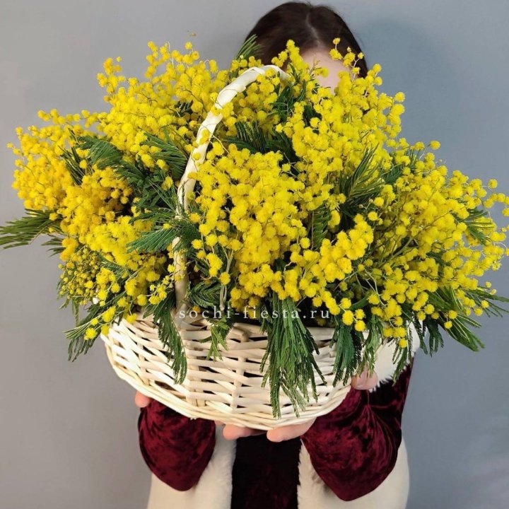 Корзина ароматной мимозы в Благовещенске