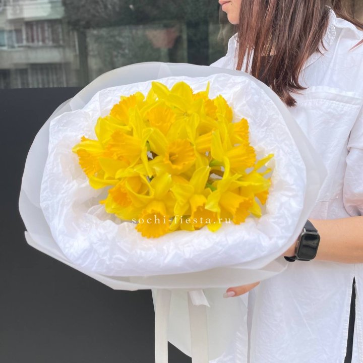 Нарциссы 25 шт в Благовещенске