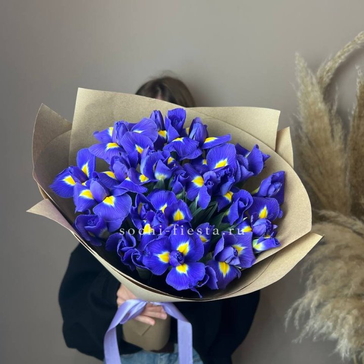 Ирисы в Благовещенске