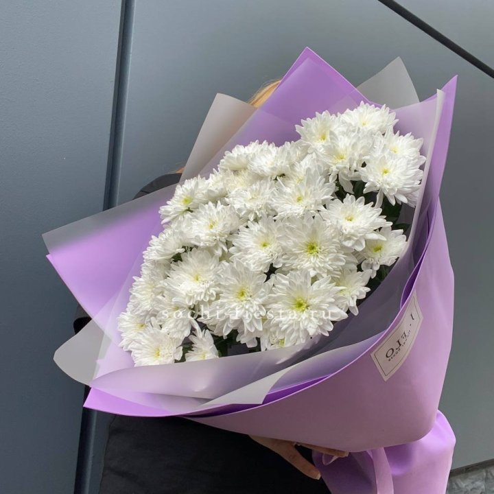  7 хризантем  в Благовещенске