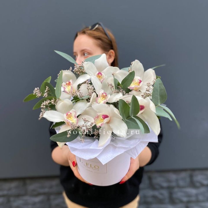 7 орхидей в боксе в Благовещенске