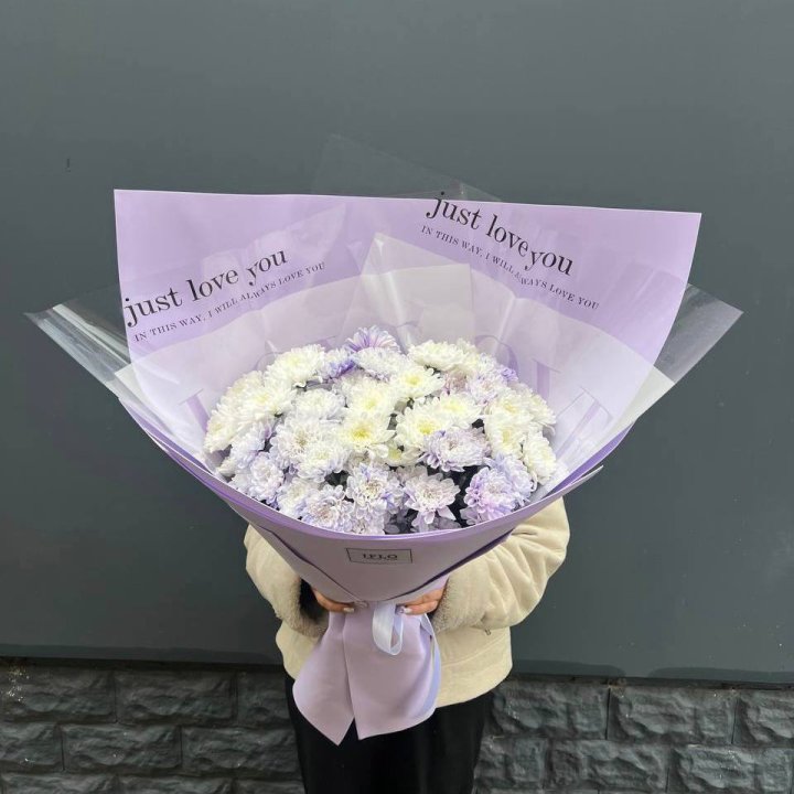 9 воздушных хризантем в Благовещенске