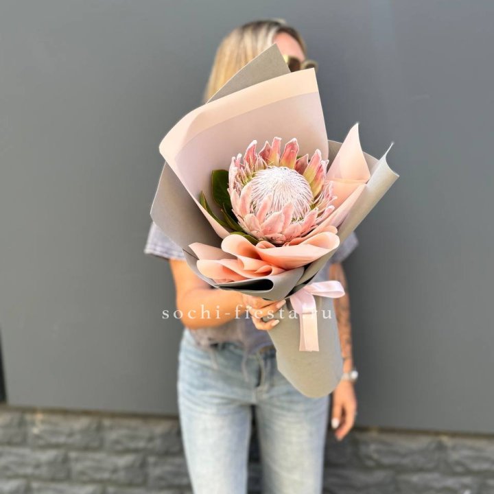 Протея мини  в Благовещенске