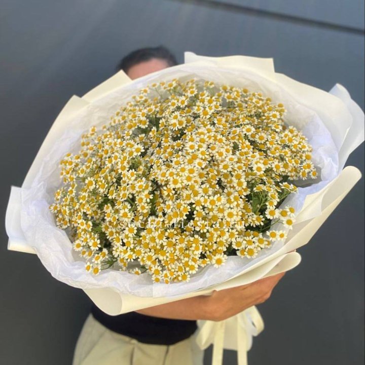 Букет ромашек №2 в Благовещенске