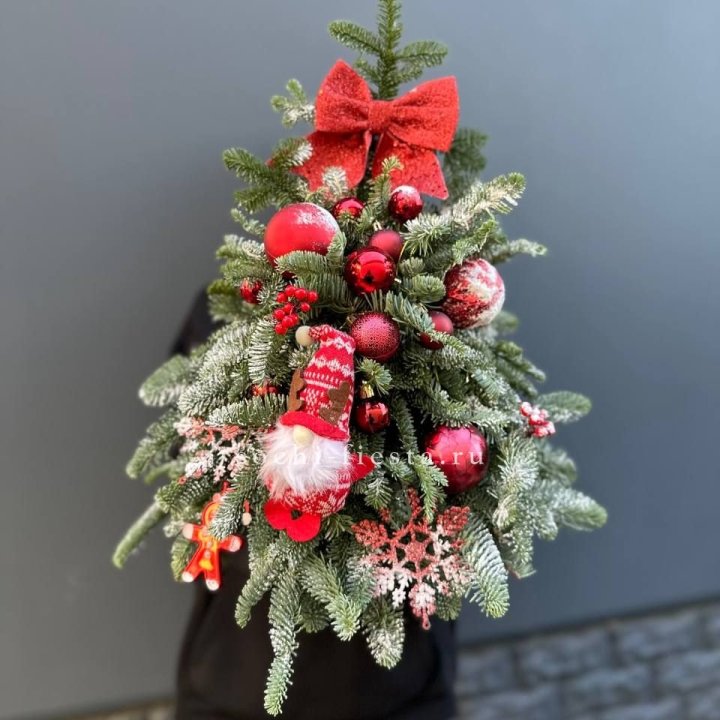 Новогодняя елочка "Ред" в Благовещенске