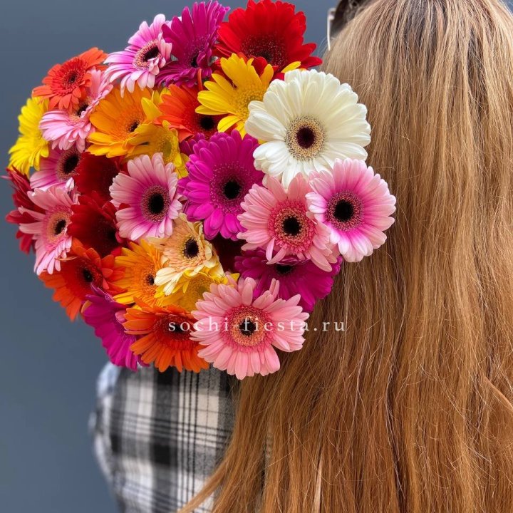 Охапка гербер  в Благовещенске