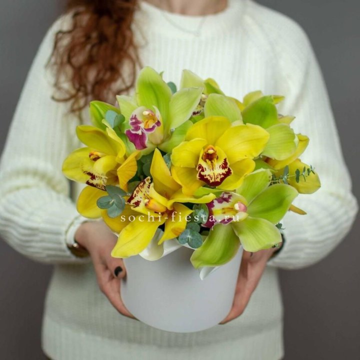 Бокс с орхидей №1 в Благовещенске