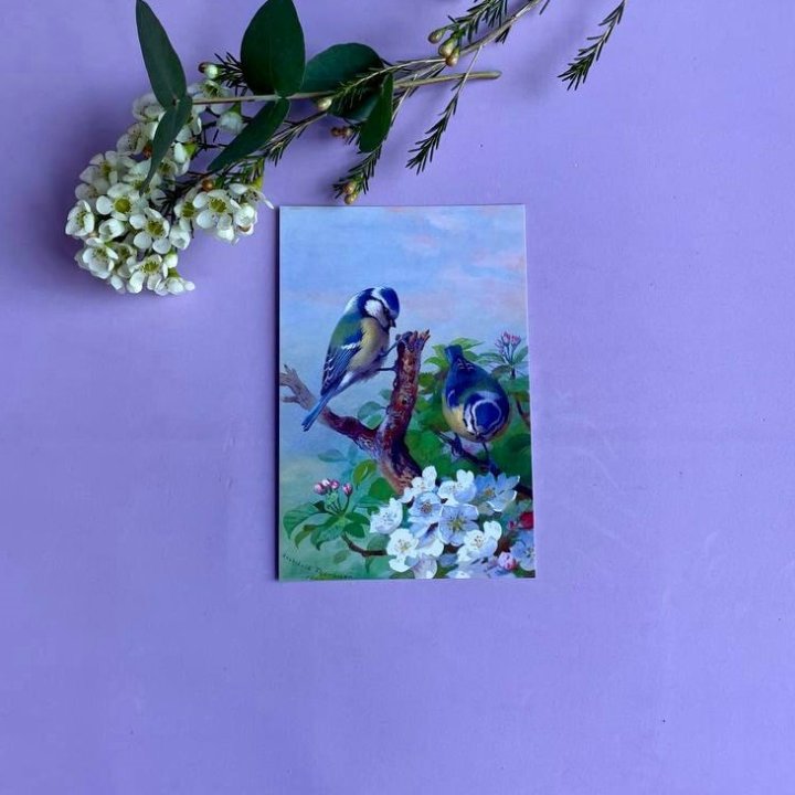 Открытка к букету "Птицы" в Благовещенске