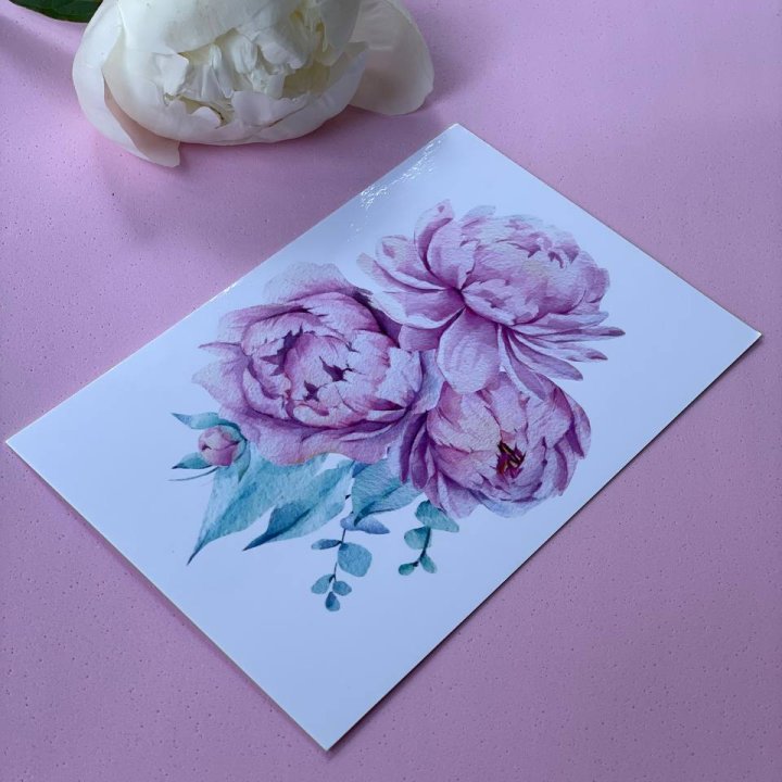 Открытка к букету "Пионы" в Благовещенске