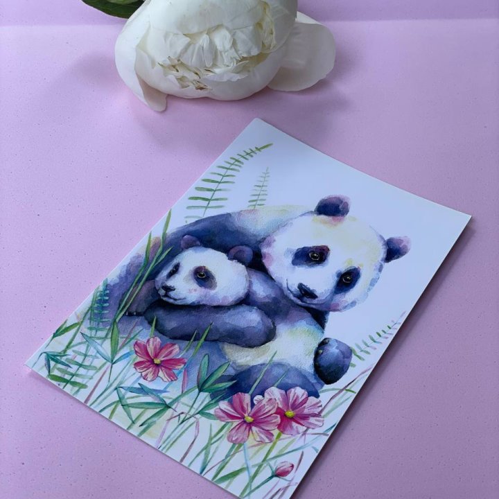 Открытка к букету "Объятие Панды" в Благовещенске