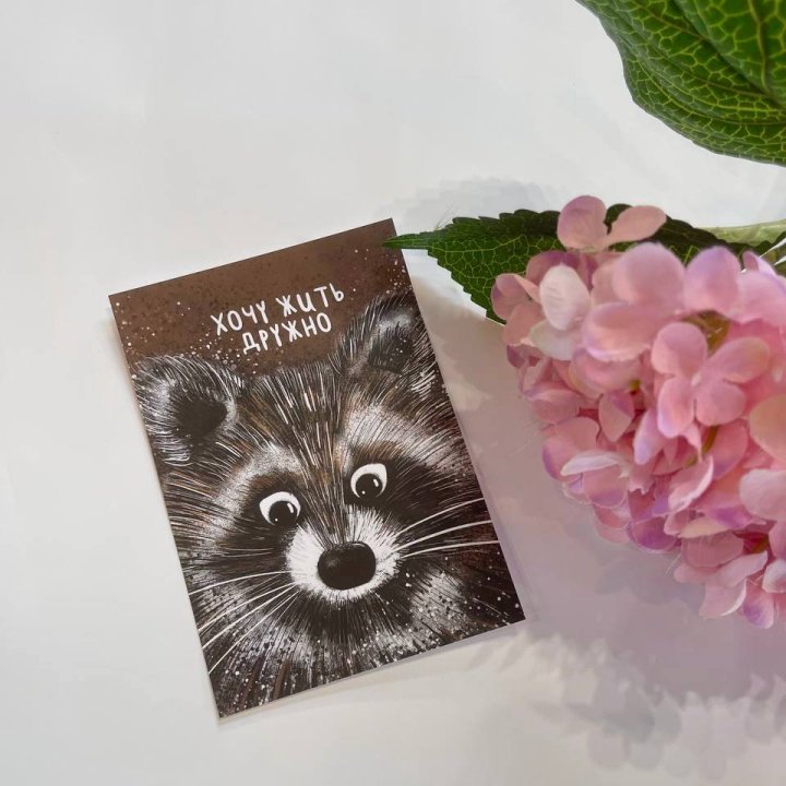 Открытка к букету "Енотик" в Благовещенске