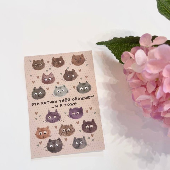 Открытка к букету "Котики" в Благовещенске