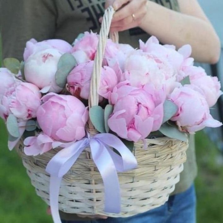 15 пионов в корзине в Благовещенске