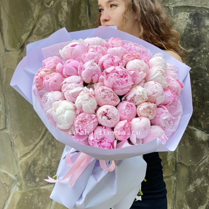 39 нежных пионов в Благовещенске