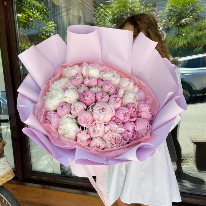 51 розовый пион в Благовещенске